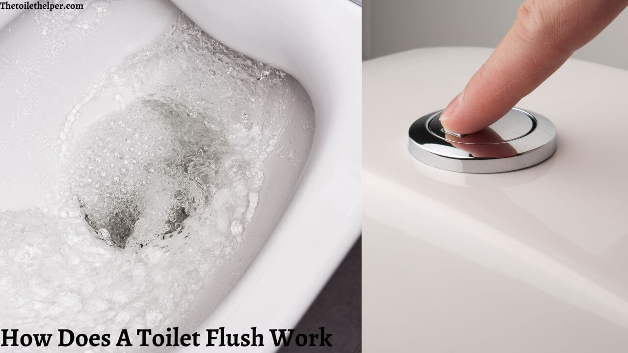 How Does A Toilet Flush Work (3) (1)
