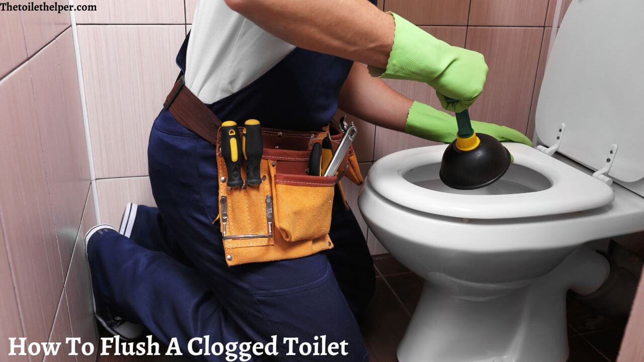 How To Flush A Clogged Toilet (3) (1)