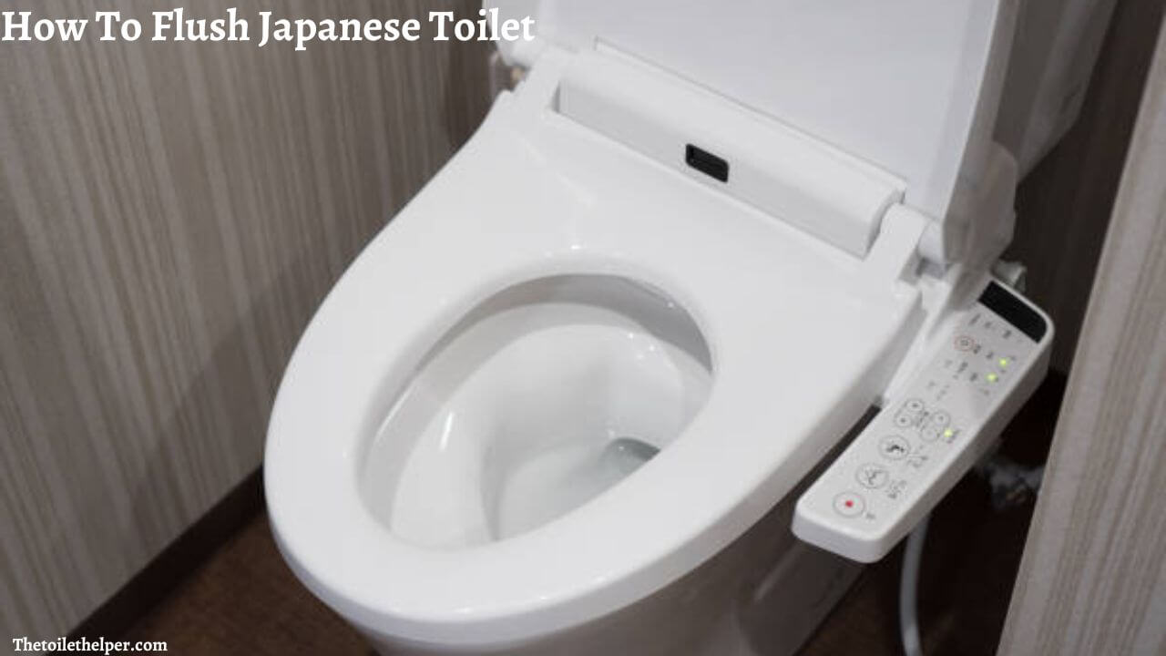 How To Flush Japanese Toilet (1)