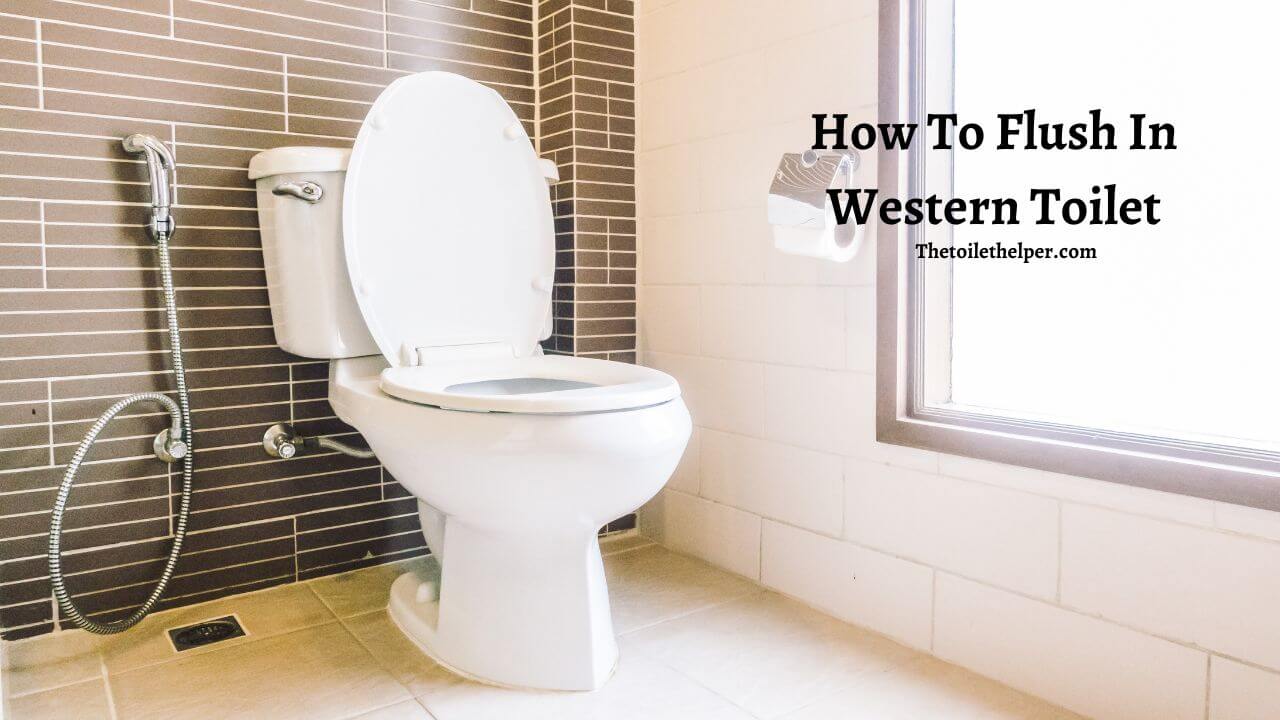How to flush in Western Toilet (1)