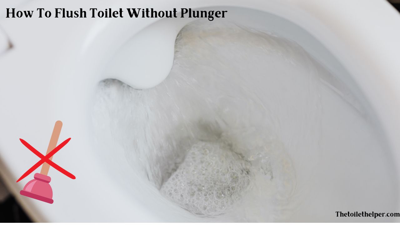 How to flush toilet without Plunger