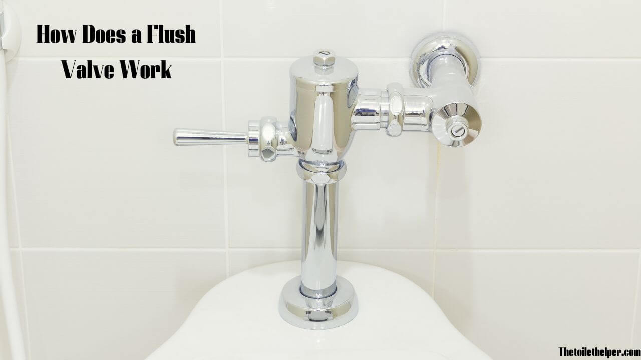 how does a flush valve work (1)