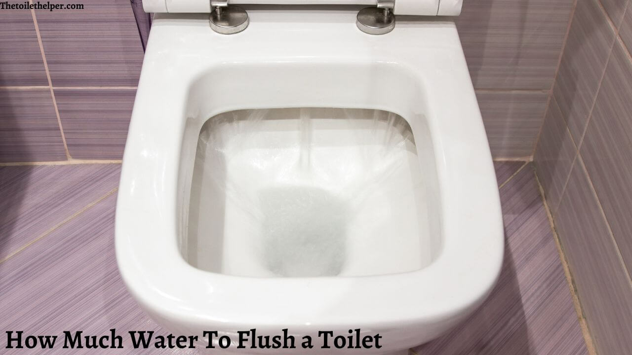 how much water to flush a toilet (1)