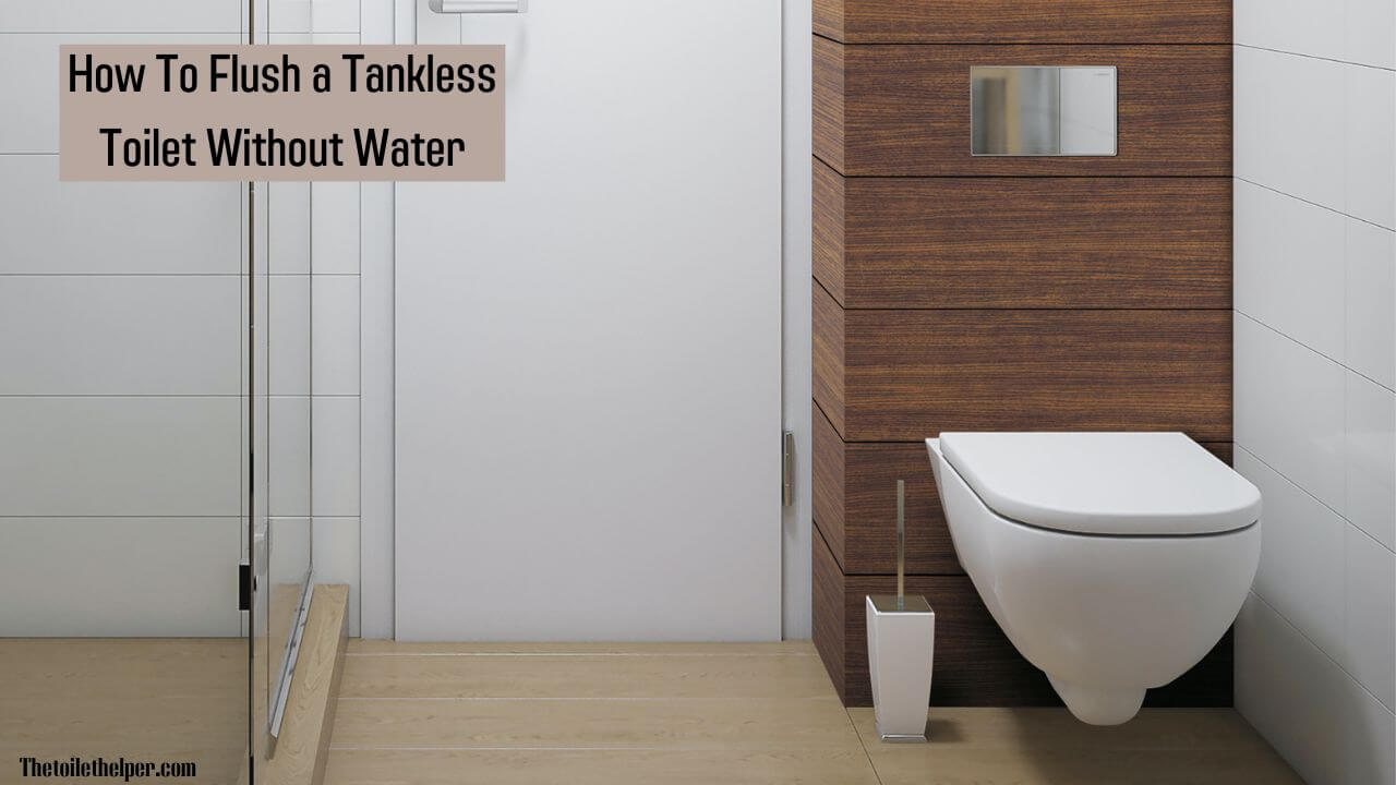 how to flush a tankless toilet without water