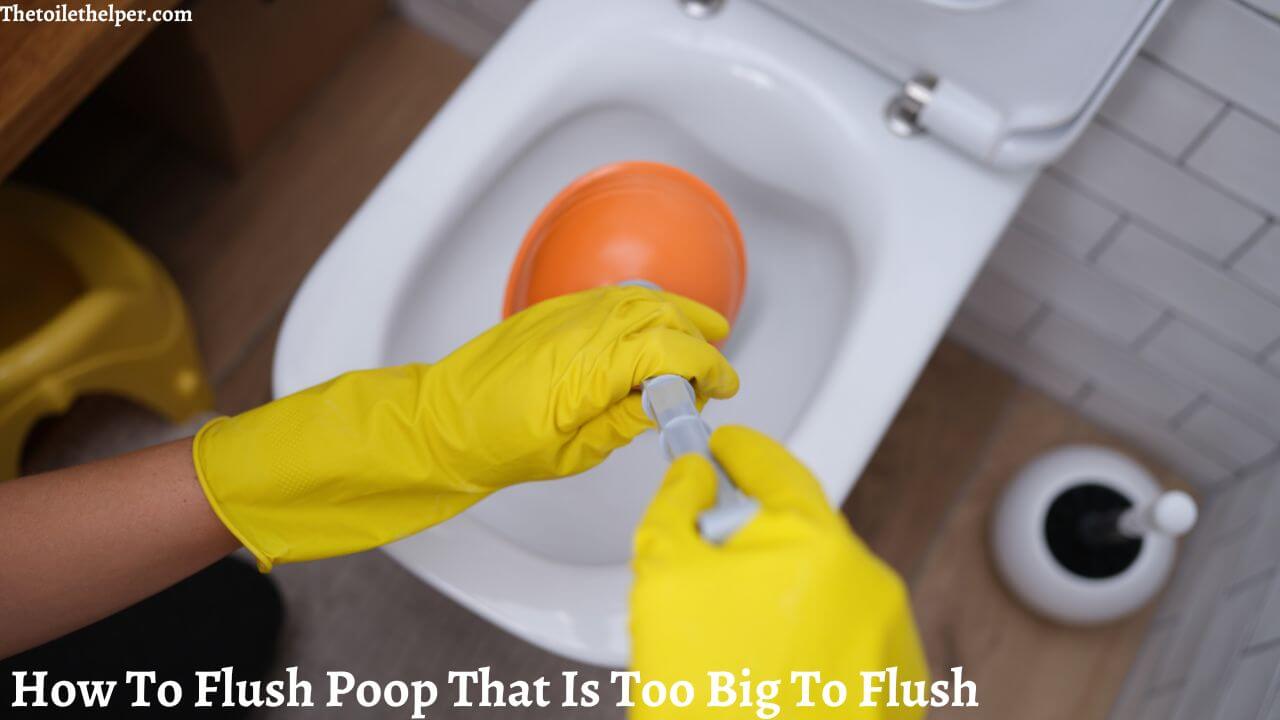 how to flush poop that is too big to flush (1)