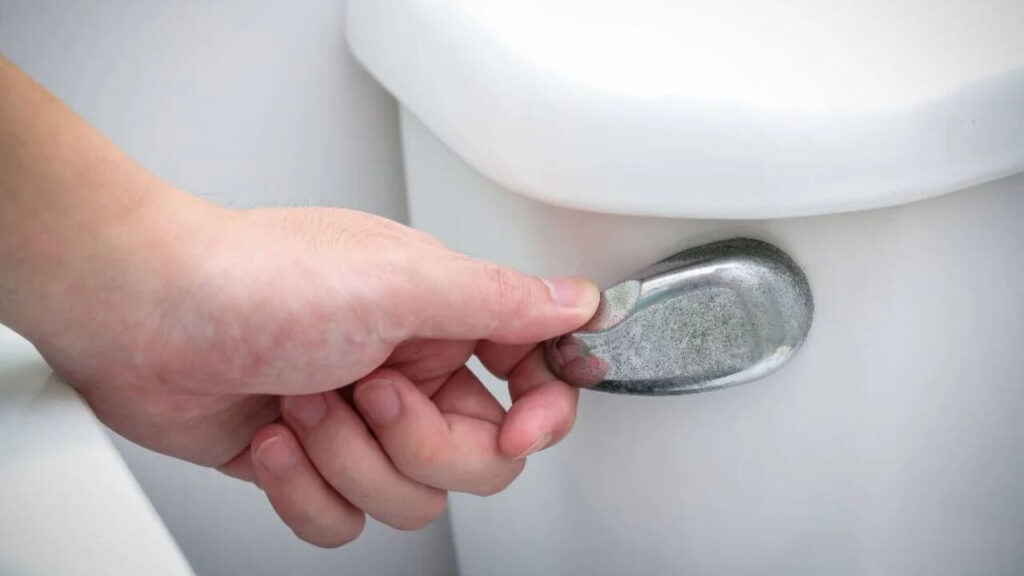 How To Flush Toilet During Power Outage