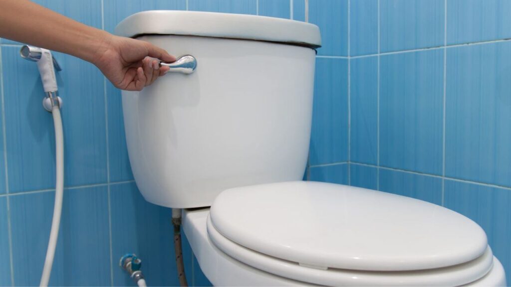 How To Flush Toilet From Tank
