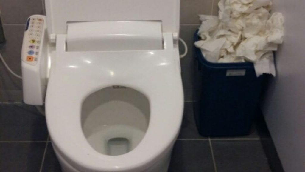 Can You Flush Toilet Paper In South Korea?