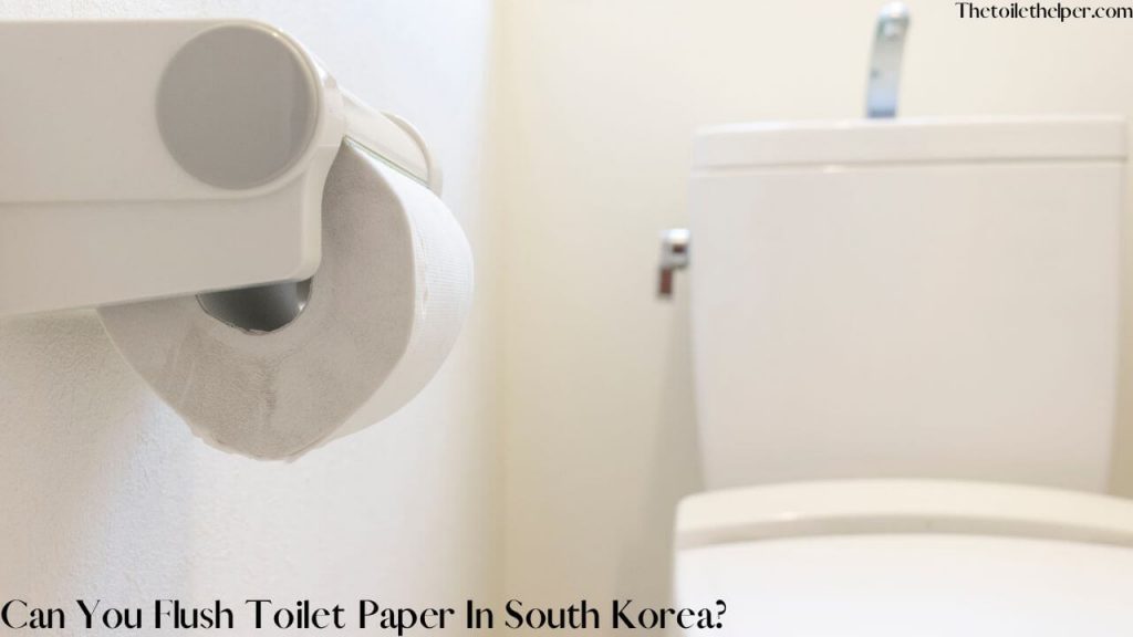 Can you flush toilet paper in South Korea (3) (1)