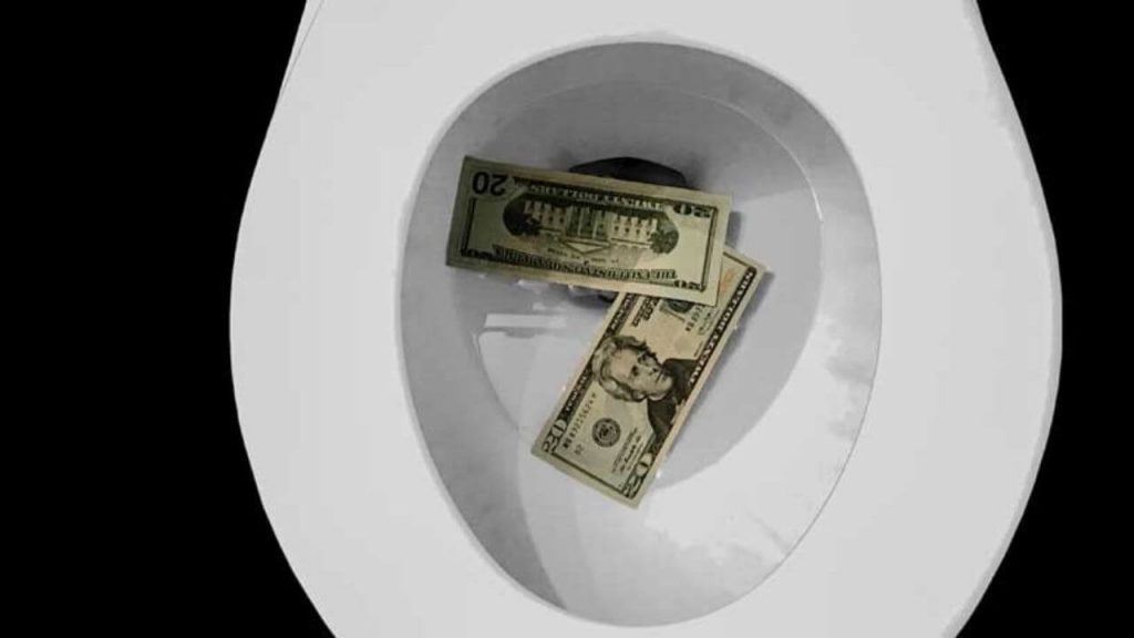 Total Cost of Flushing The Toilet