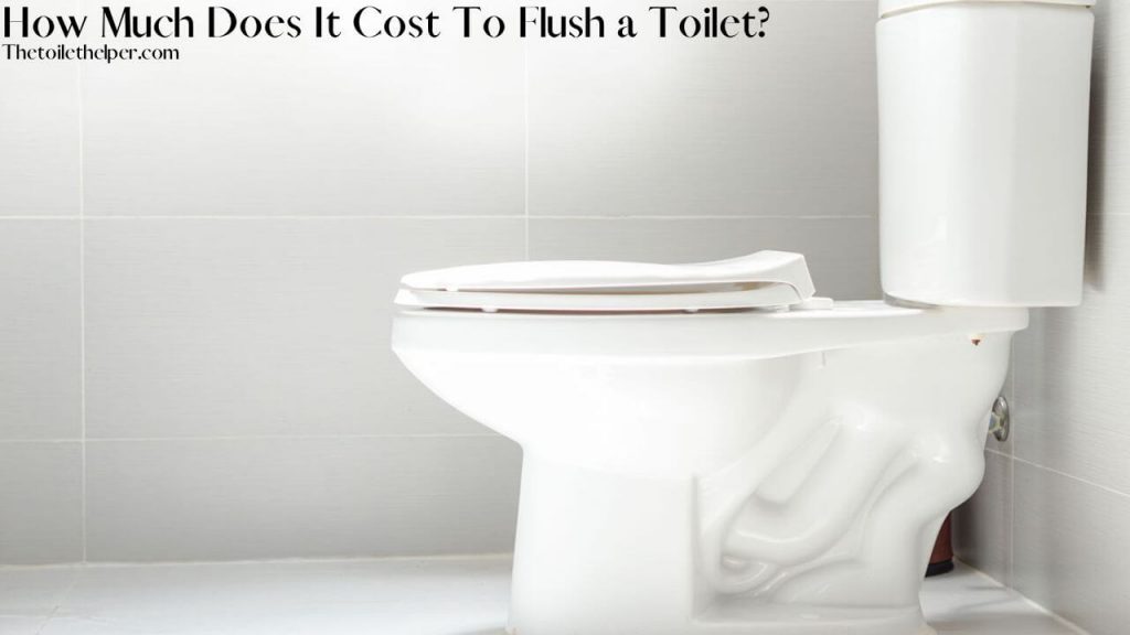 How Much Does It Cost To Flush a Toilet (3) (1)