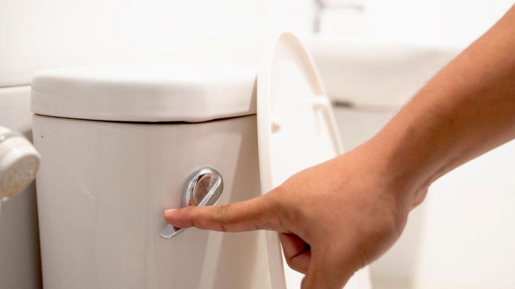 How Often Should You Flush an Unused Toilet