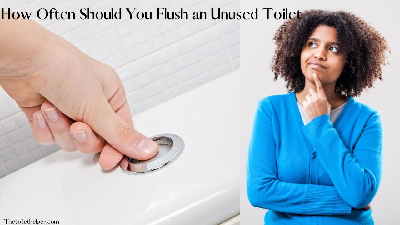 How Often Should You Flush an Unused Toilet (4) (1)