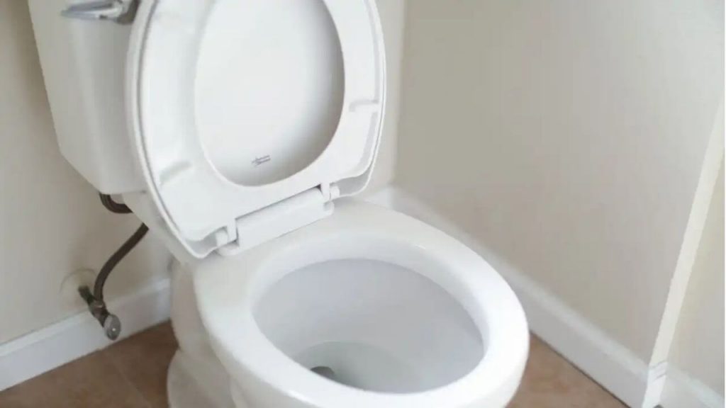 How to flush English toilet 