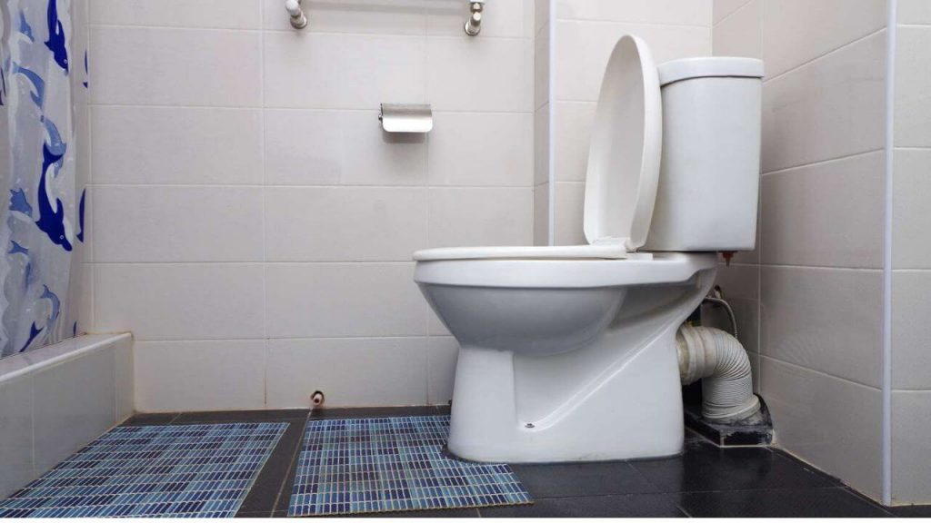 How to flush English toilet 