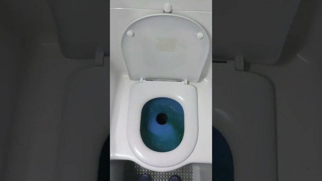 How To Flush Toilet On Bus
