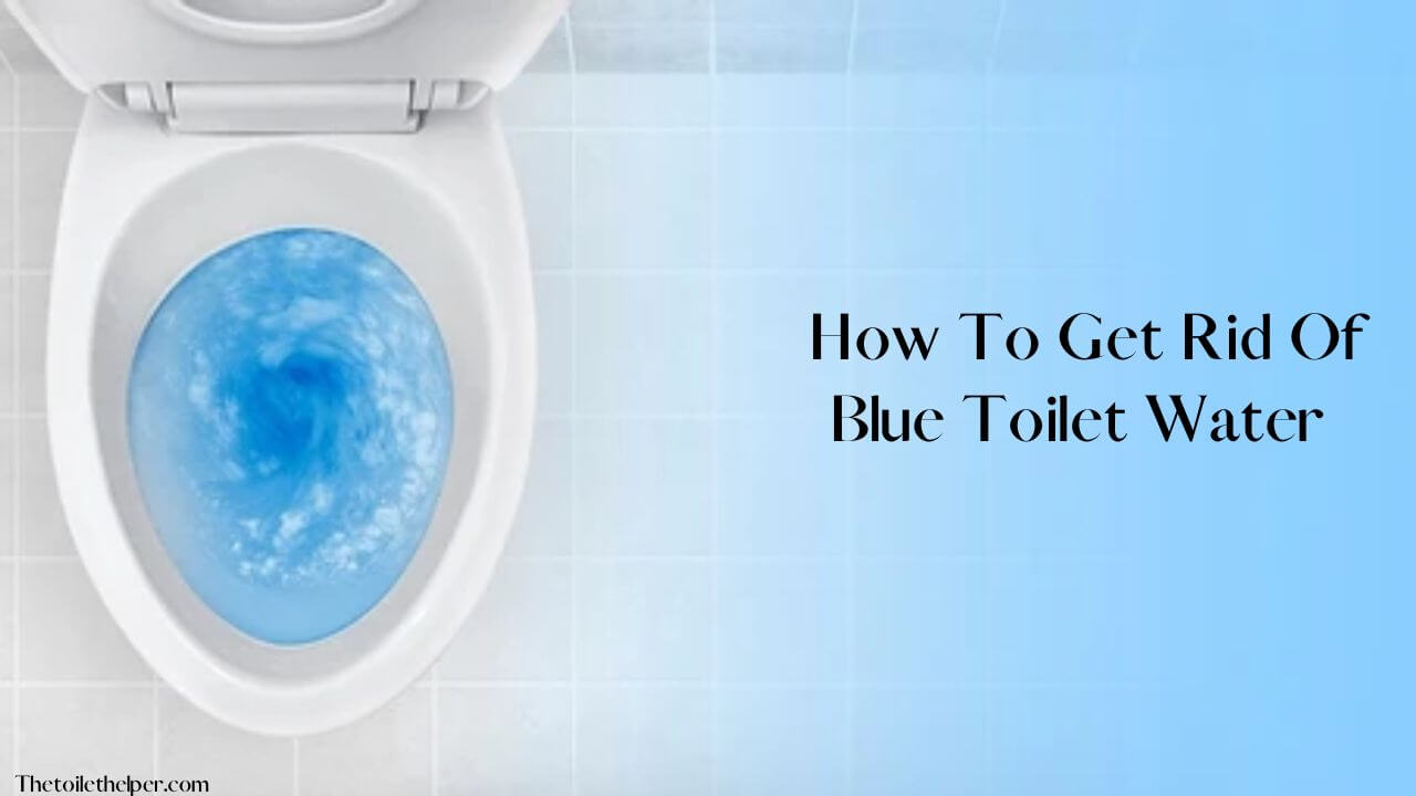 How To Get Rid Of Blue Toilet Water (1)