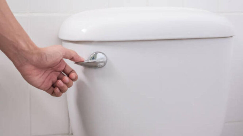 How To Flush Toilet Properly