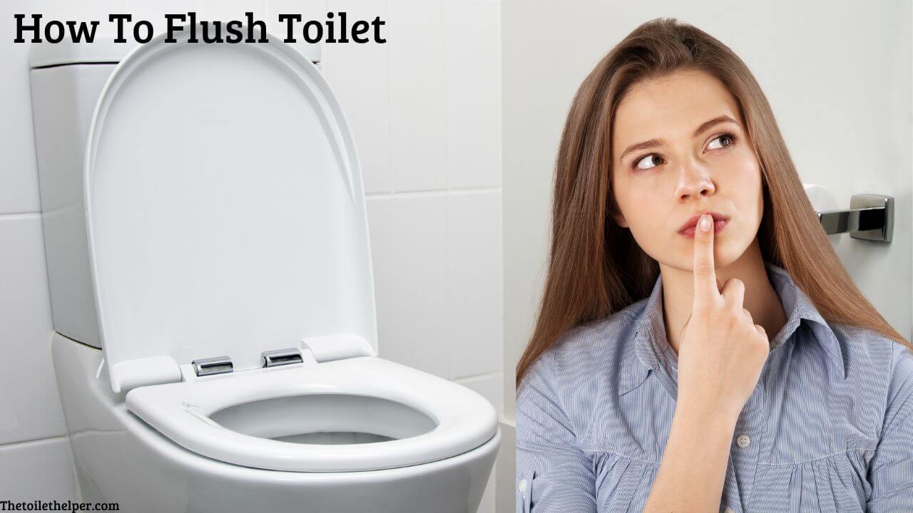 How to flush toilet (4) (1)