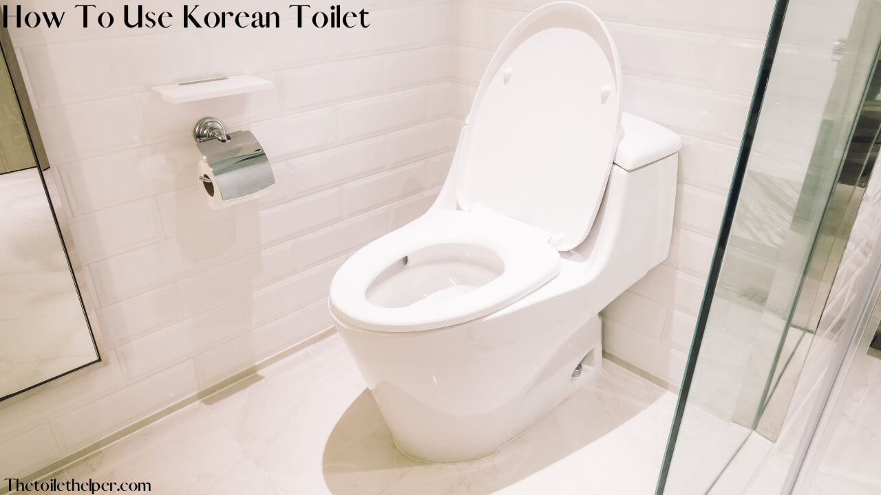 How to use Korean Toilet (1)