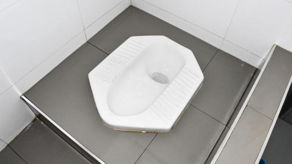Squat Toilet In Italy
