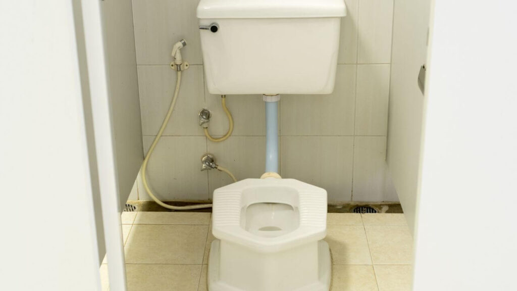 Squat Toilet In Italy