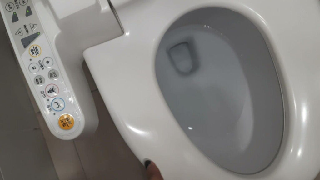 How Does Korean Toilet Works?