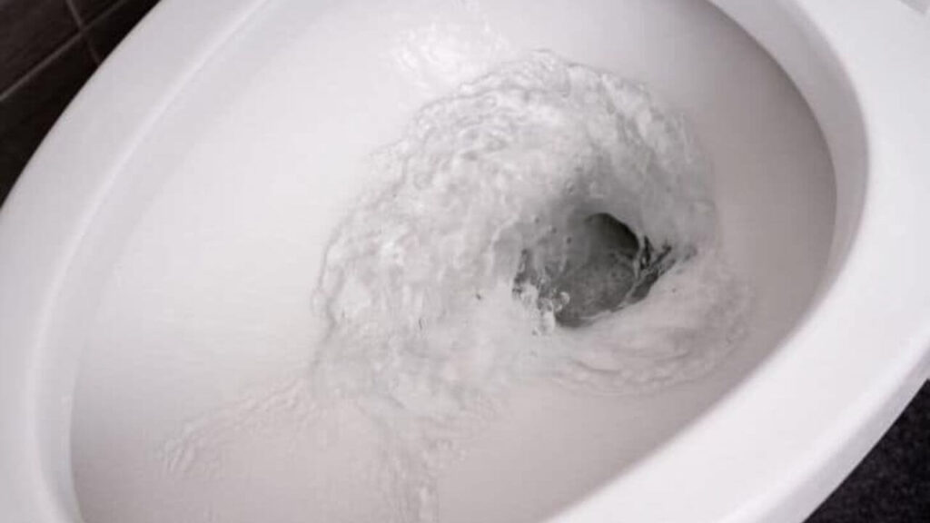 Can You Flush Tobacco Down Toilet