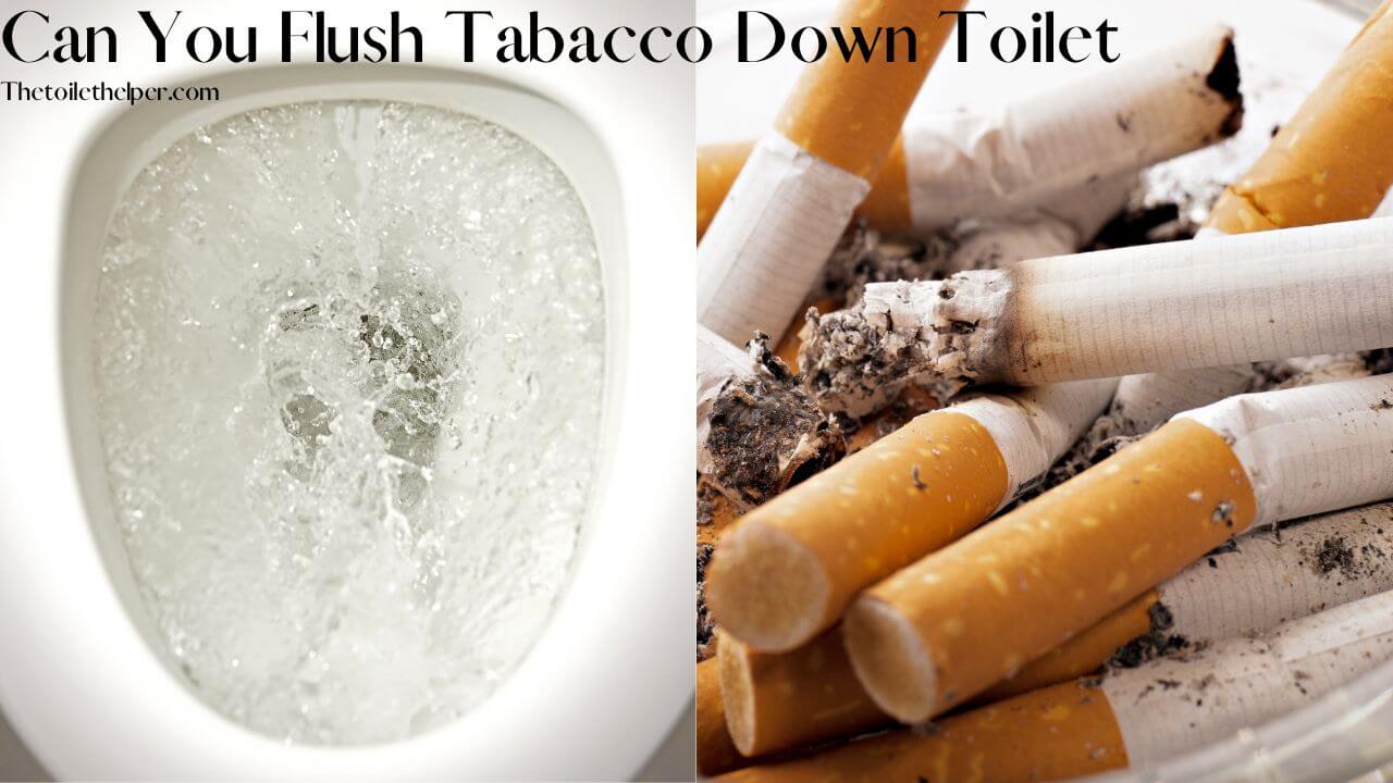 Can you flush Tabacco down toilet (3) (1)