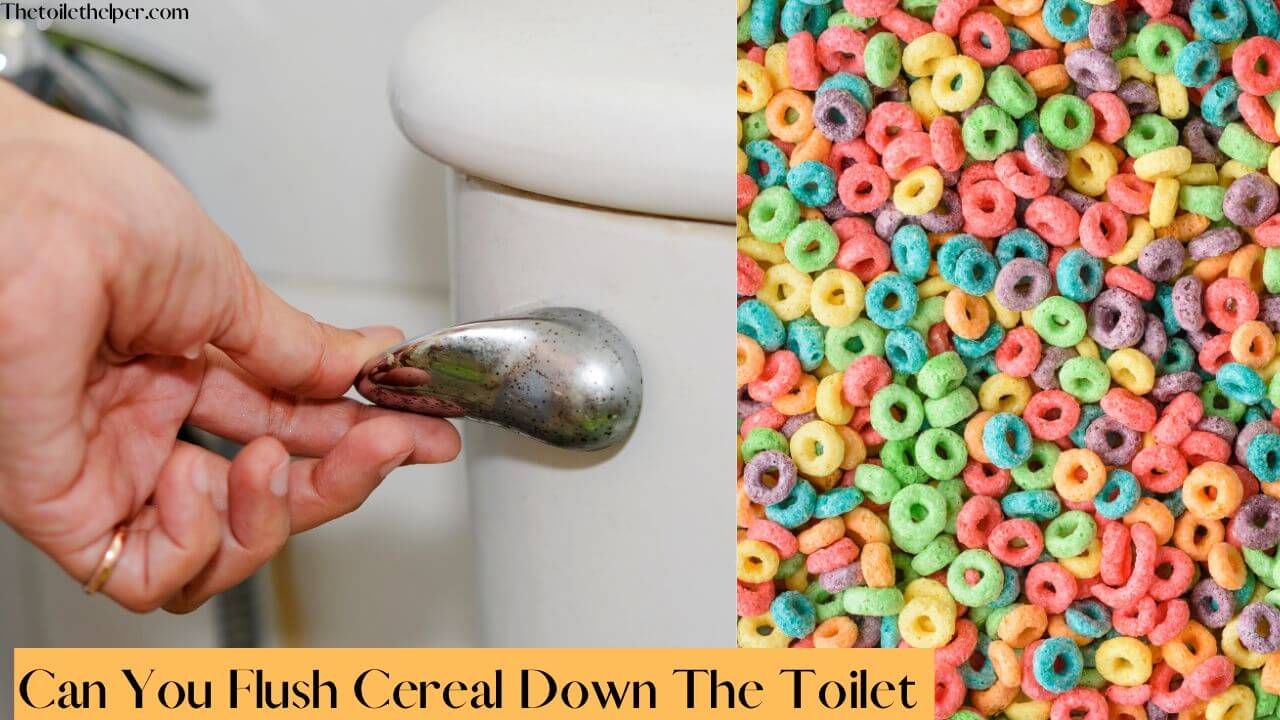 Can-you-flush-cereal-down-the-toilet-1