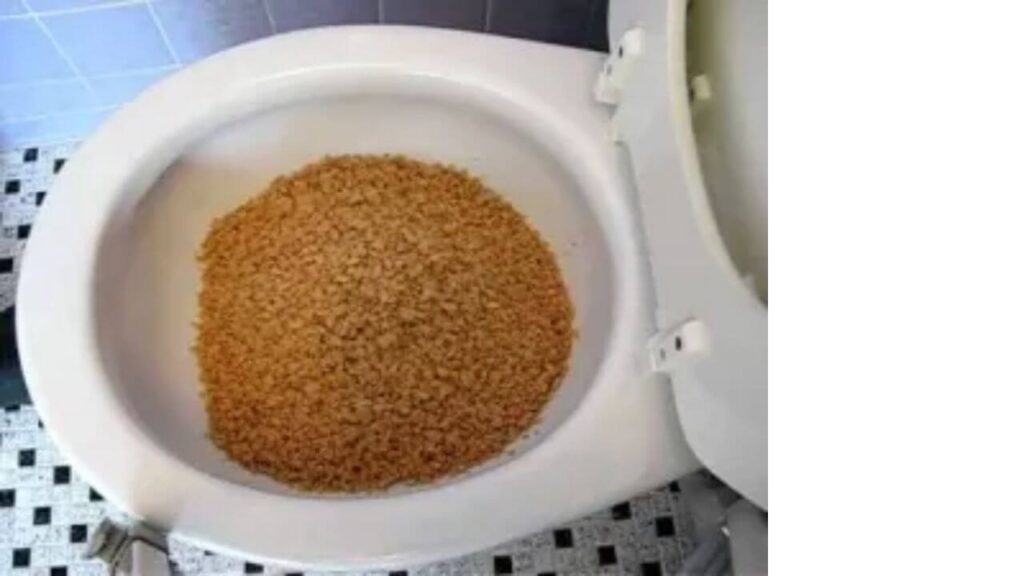 Can You Flush Cereal Down The Toilet