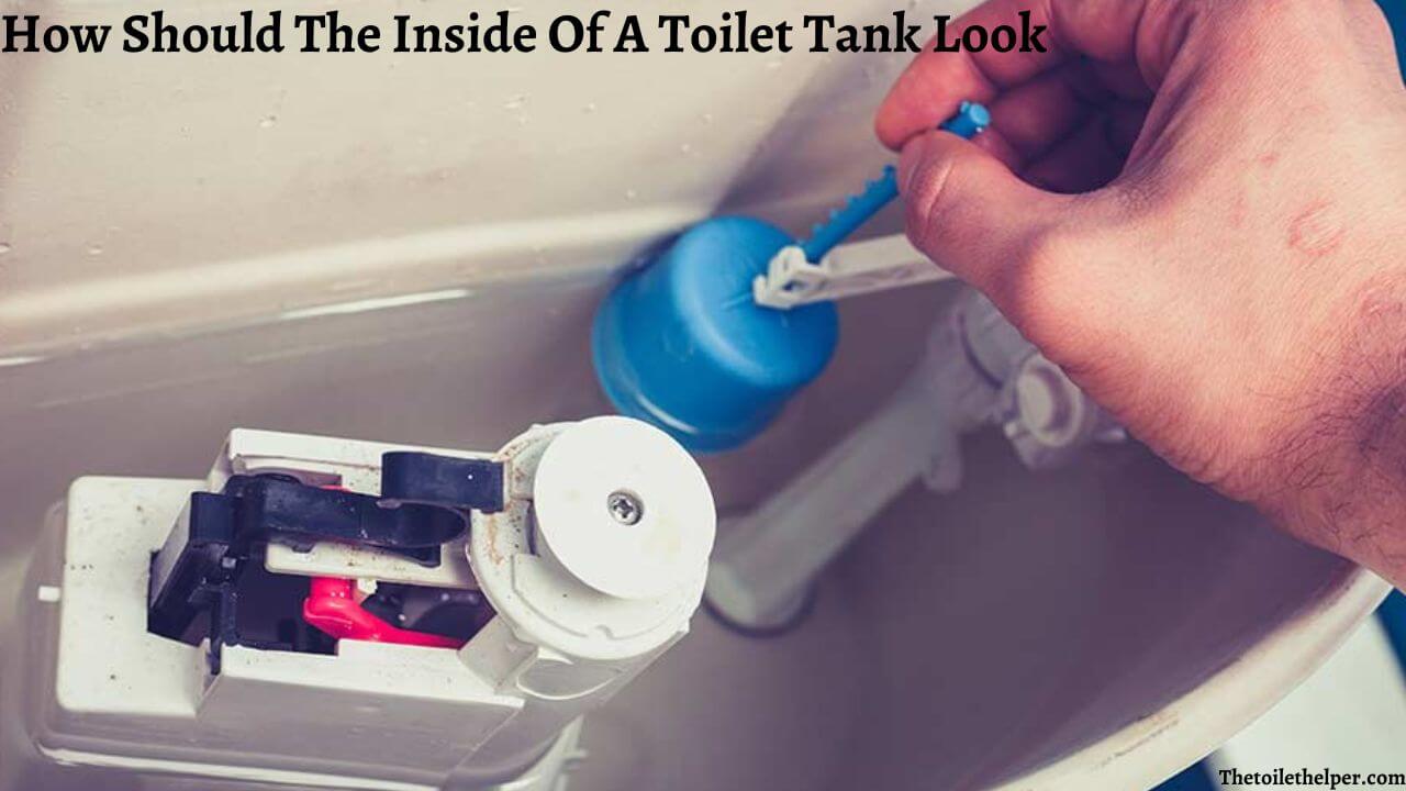 How Should The Inside Of A Toilet Tank Look (5) (1)
