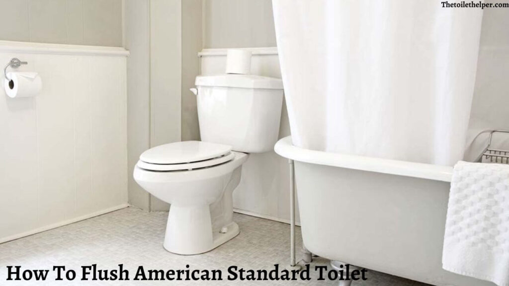 How To Flush American Standard Toilet (3) (1)
