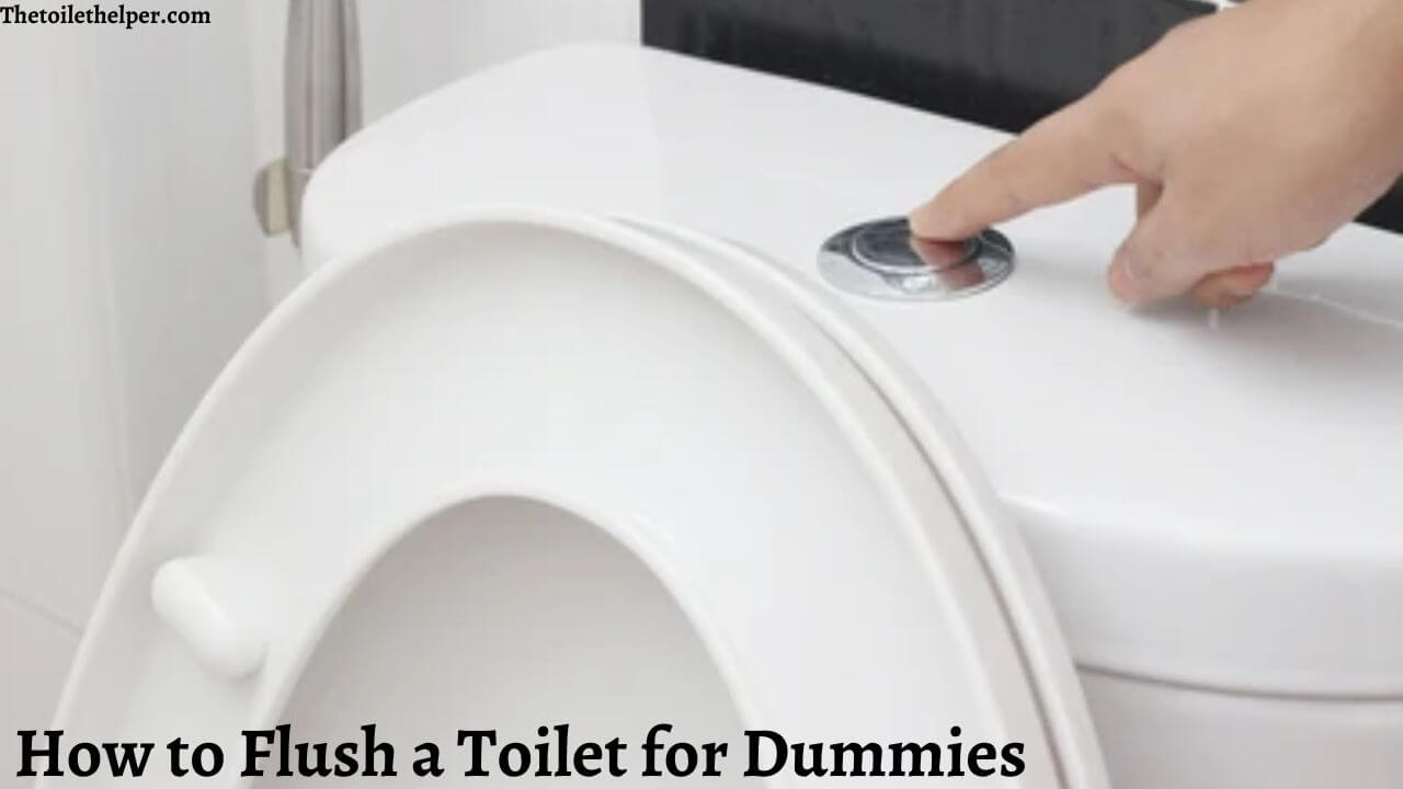 How to Flush a Toilet for Dummies (3) (1)