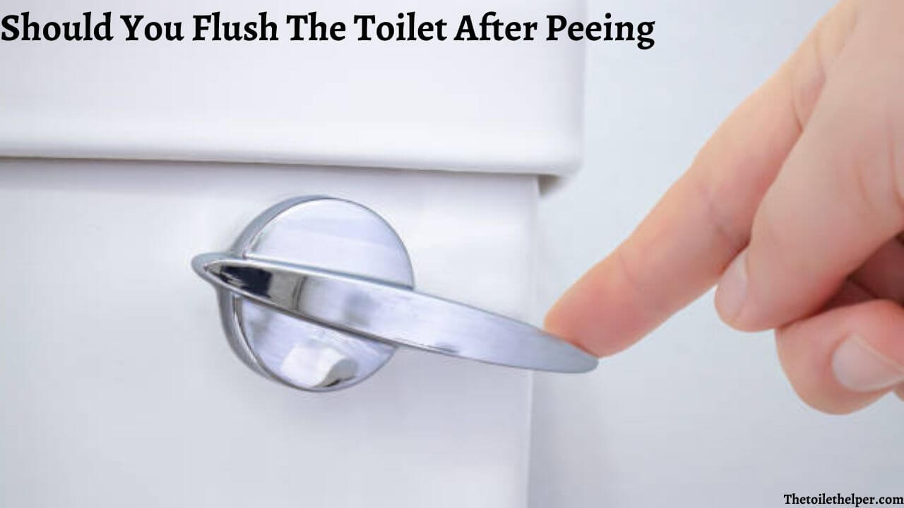Should You Flush The Toilet After Peeing (4) (1)