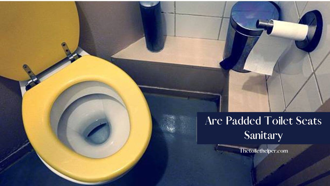 Are Padded Toilet Seats Sanitary (1)