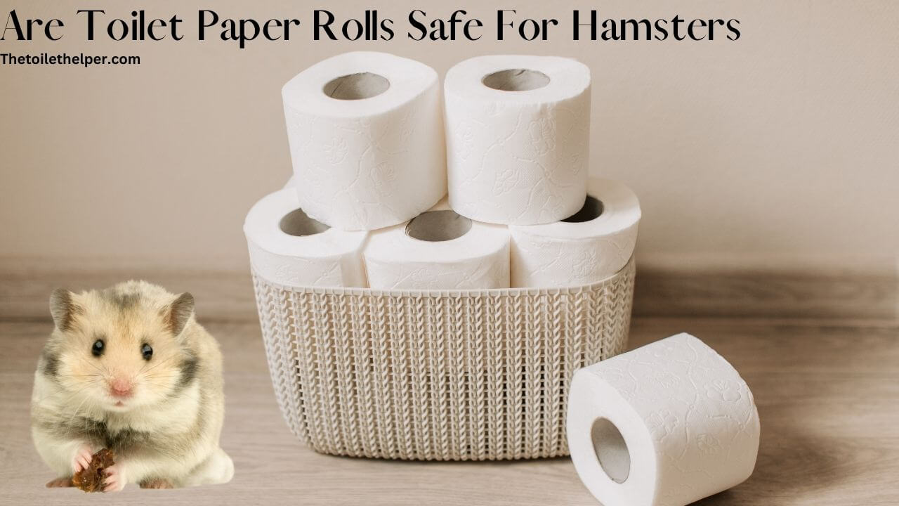 Are Toilet Paper Rolls Safe For Hamsters (1)