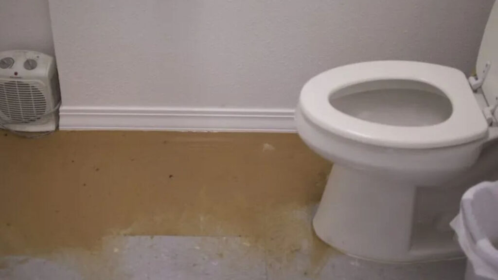 Can a toilet overflow without being clogged
