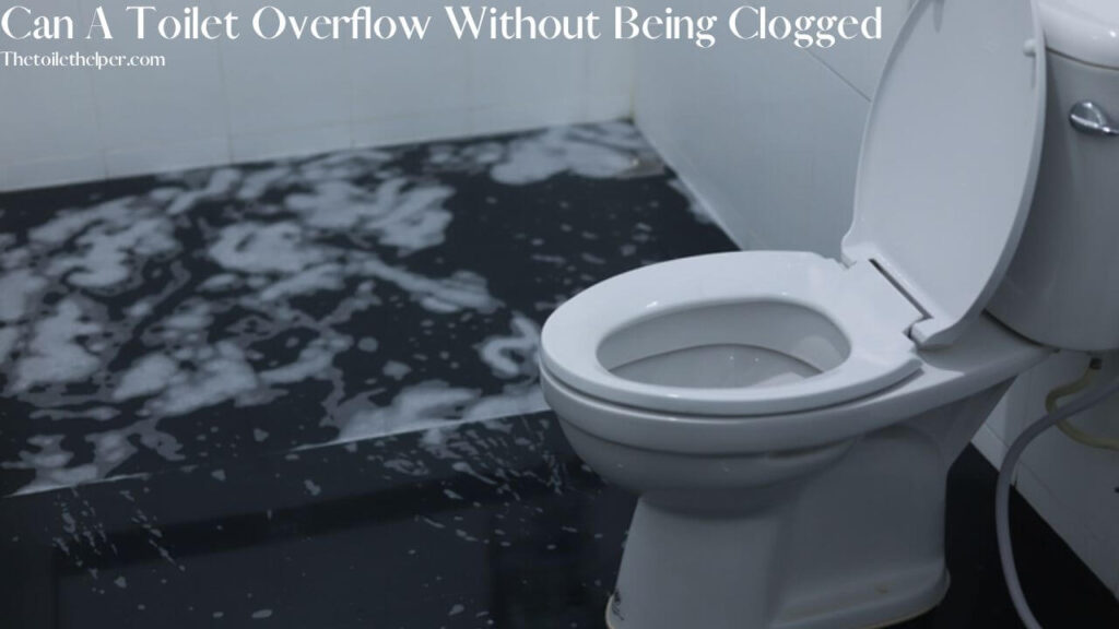 Can A Toilet Overflow Without Being Clogged (5) (1)