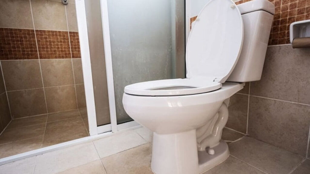 Can I Put An Elongated Seat On A Round Toilet