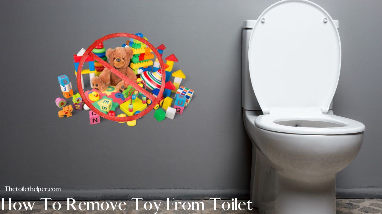 How To Remove Toy From Toilet (1)
