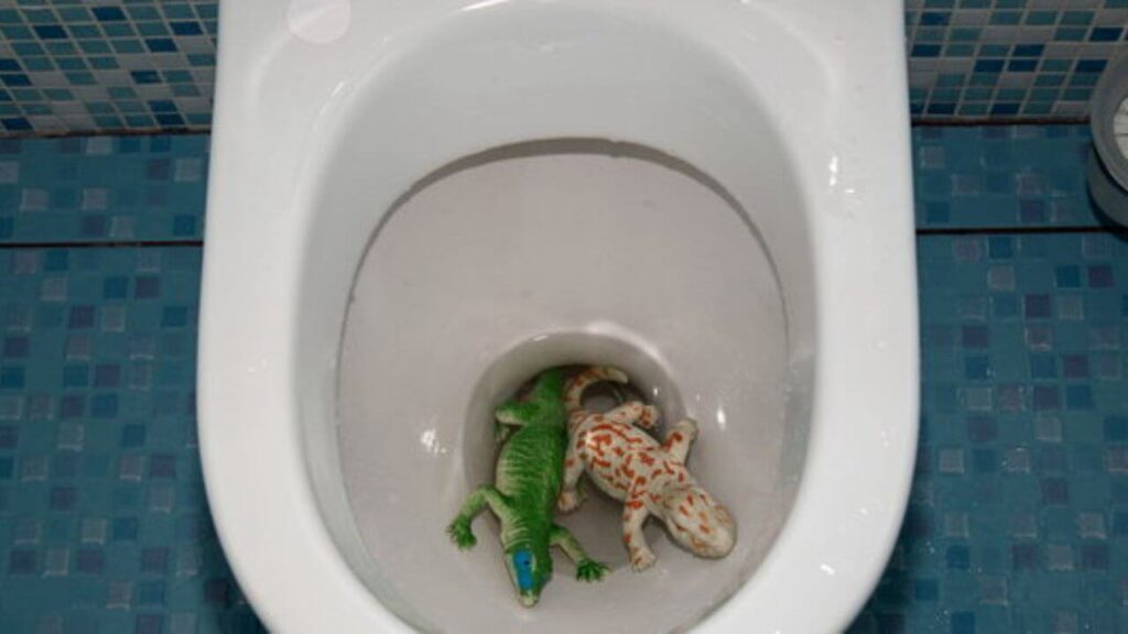 How To Remove Toy From Toilet