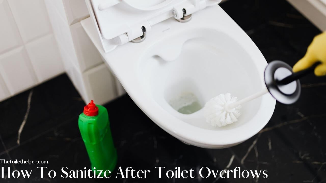 How To Sanitize After Toilet Overflows (6) (1)
