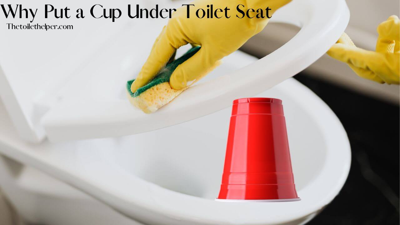 Why Put a Cup Under Toilet Seat (3) (1)