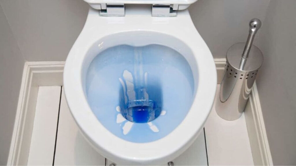 Prevention of Blue Stains In The Toilet Seat