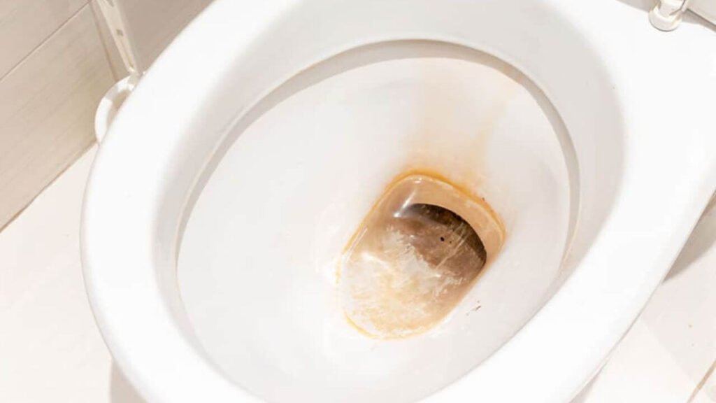 Is It Dangerous To Have Iron In Your Toilet Water?