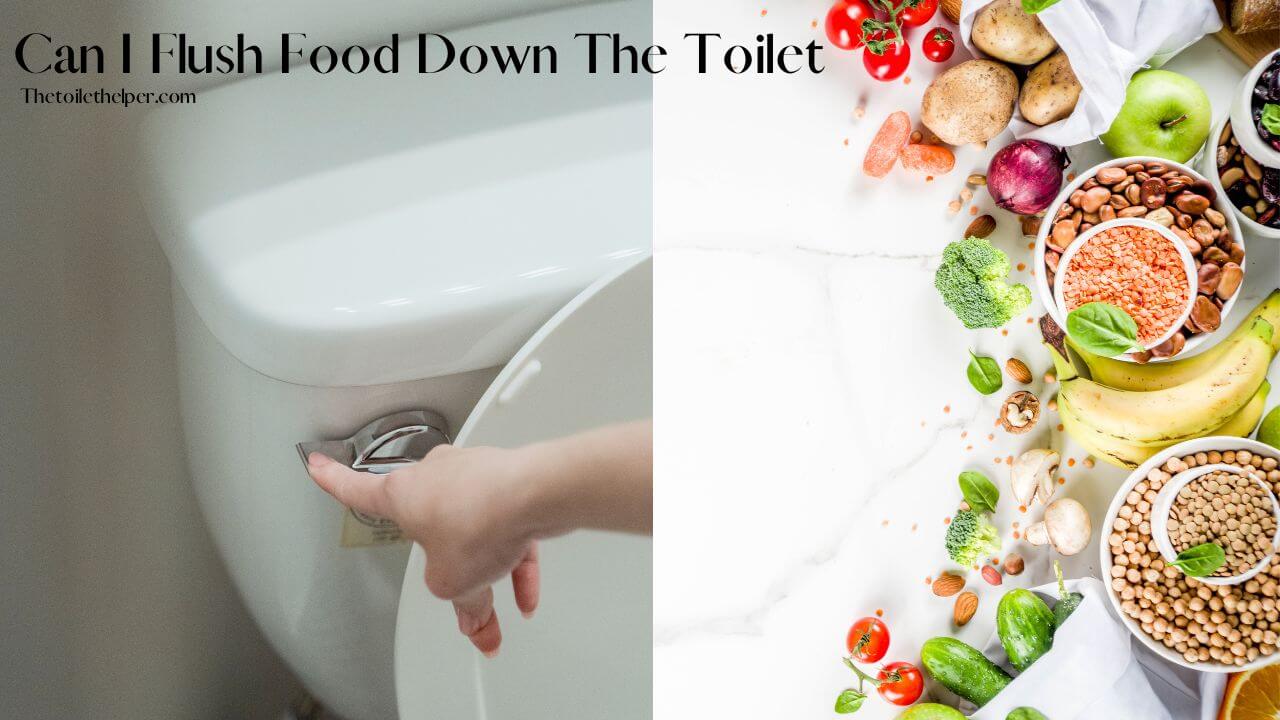 Can I Flush Food Down The Toilet