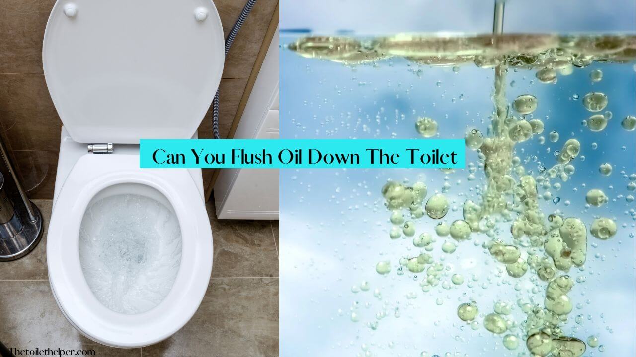 Can You Flush Oil Down The Toilet (1)