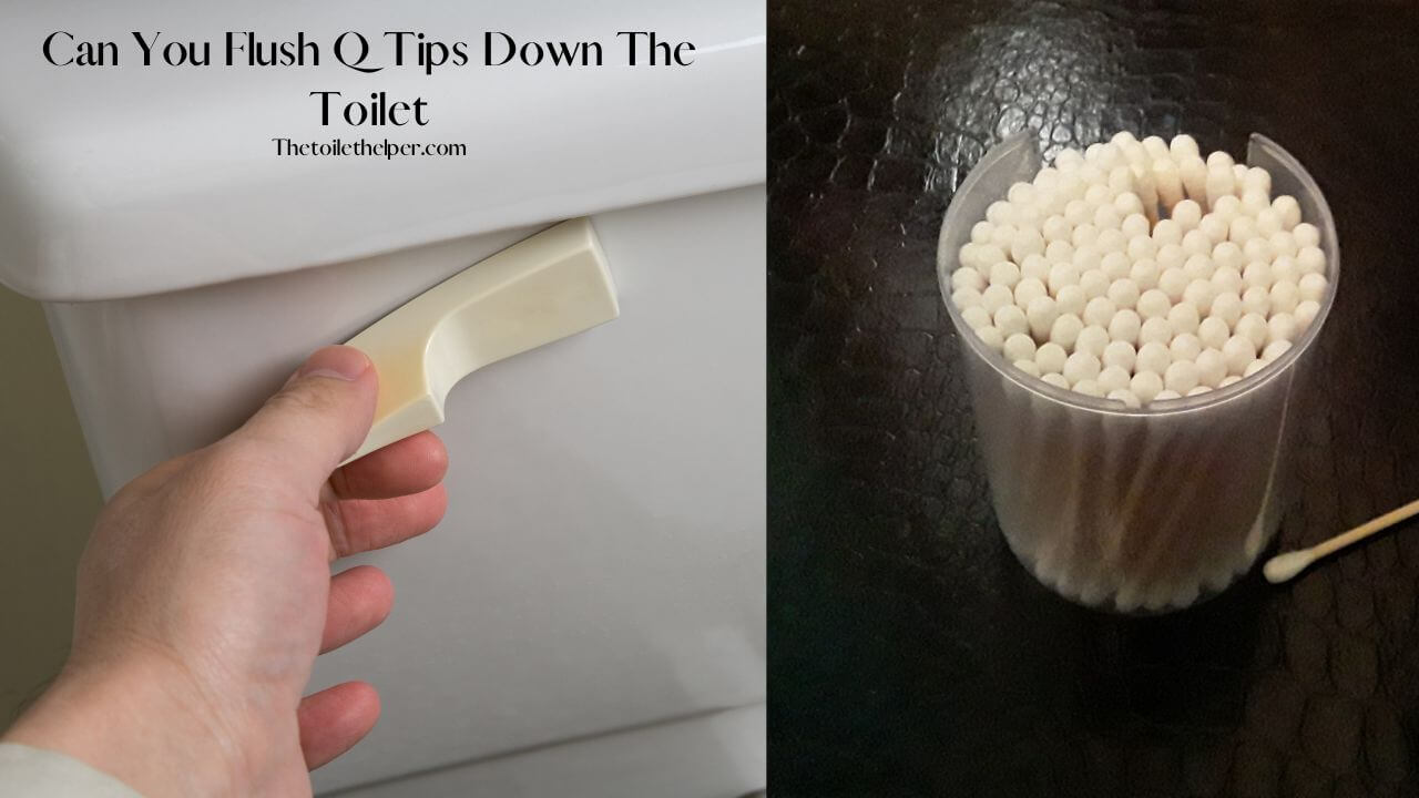 Can You Flush Q Tips Down The Toilet (7) (1)