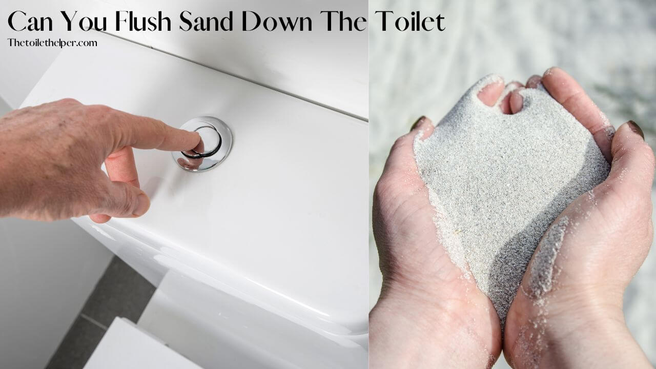 Can You Flush Sand Down The Toilet